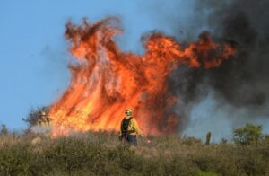 Incendi boschivi: l’appello del direttore provinciale Acli di Latina